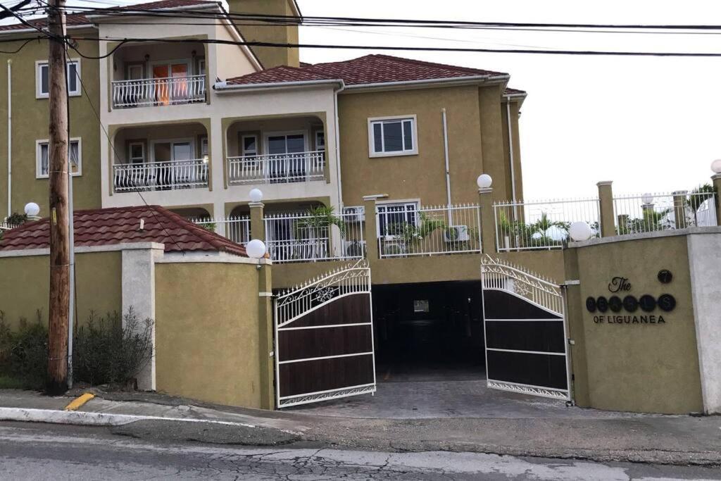 Shan'S Manor.... Excellent Location!!! Kingston Exterior foto